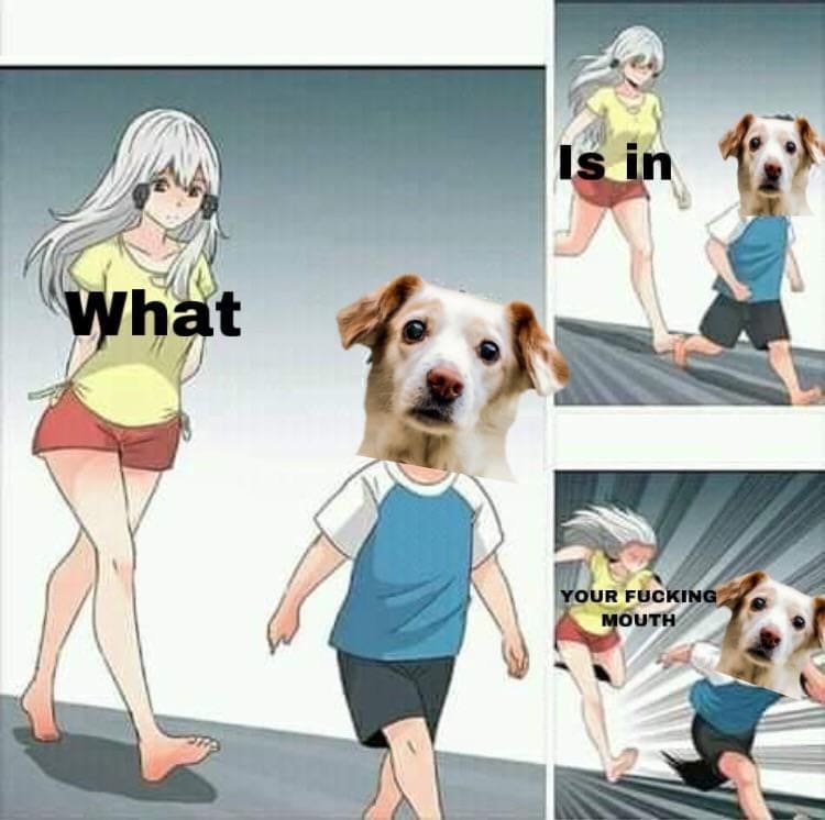 funny memes