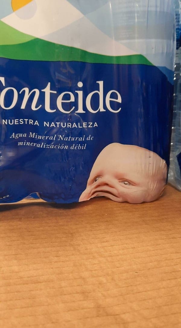 bad designs squished baby face