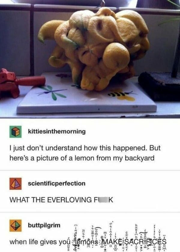 Boss mode I just don't understand how this happened. But here's a picture of a lemon from my backyard WHAT THE EVERLOVING
