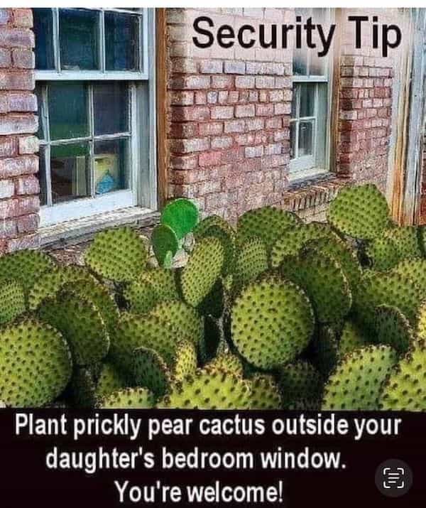 clever people Plant prickly pear cactus outside your daughter's bedroom window. You're welcome!