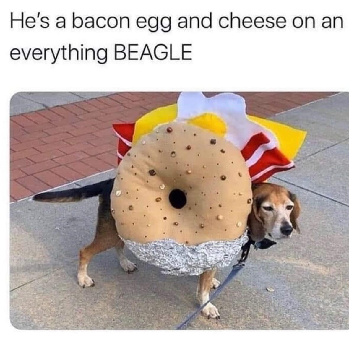 meme dump