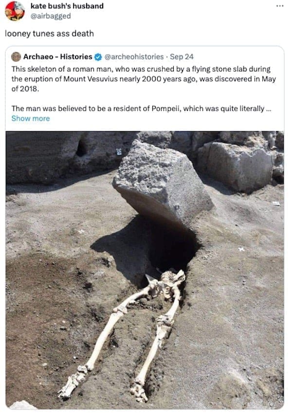 funny memes looney tunes ass death This skeleton of a roman man, who was crushed by a flying stone slab during the eruption of Mount Vesuvius nearly 2000 years ago, was discovered in May of 2018.
