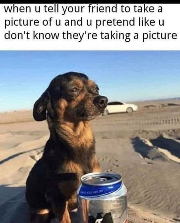 funny memes when u tell your friend to take a picture of u and u pretend like u don't know they're taking a picture