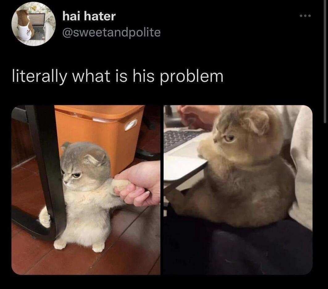 classic memes