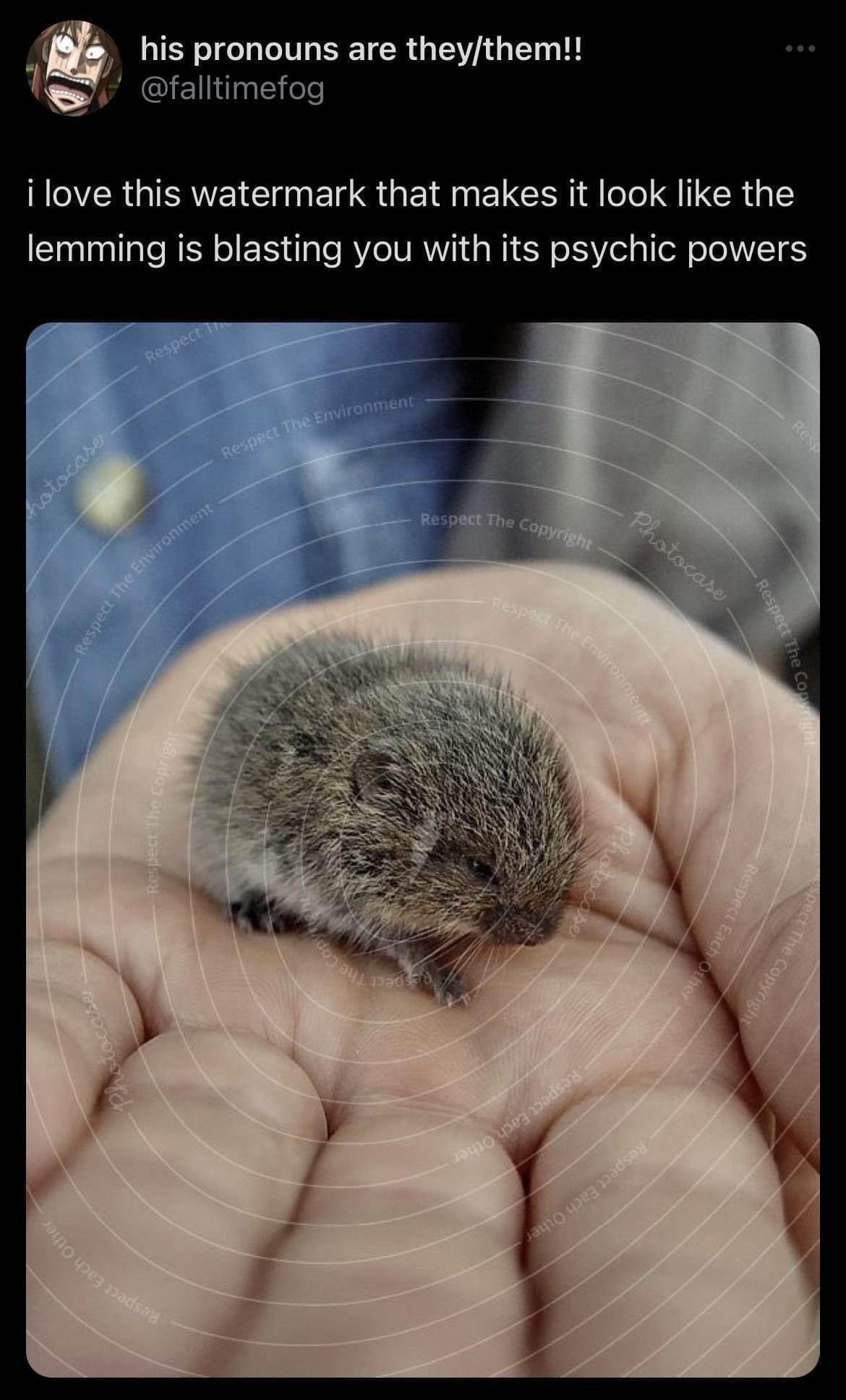 funny memes ¡ love this watermark that makes it look like the lemming is blasting you with its psychic powers