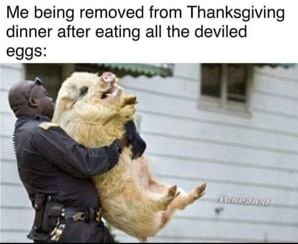 thanksgiving memes Me being removed from Thanksgiving dinner after eating all the deviled eggs: