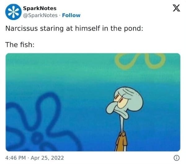 SparksNotes Memes Narcissus staring at himself in the pond: The fish: