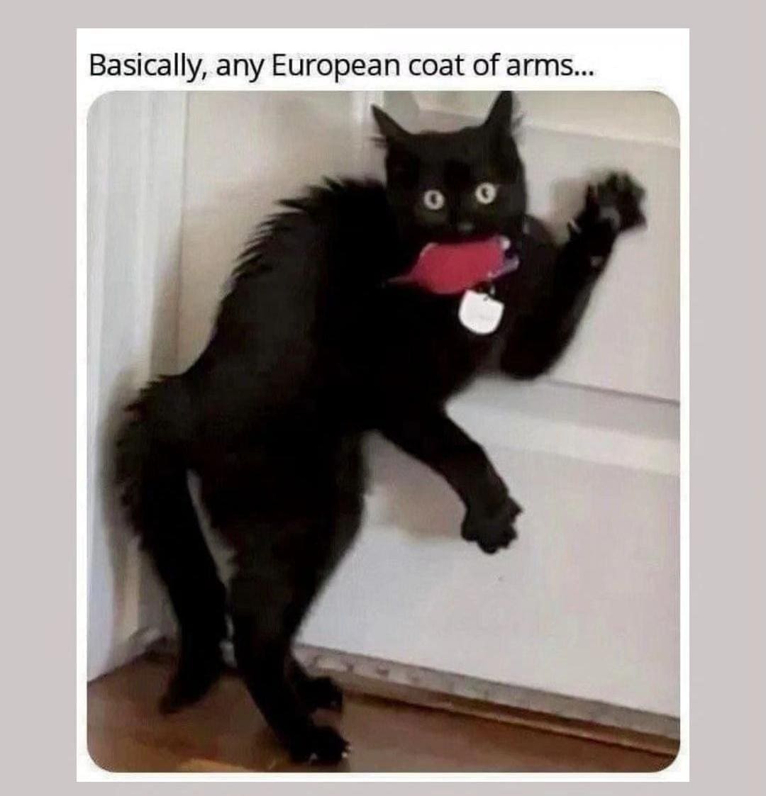funny memes