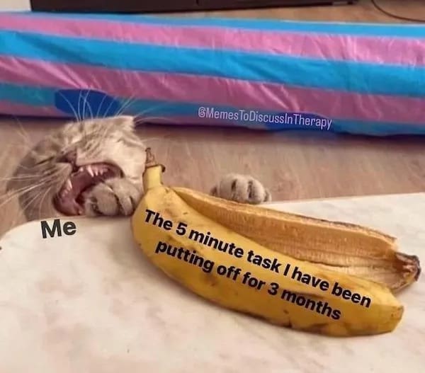 meme dump