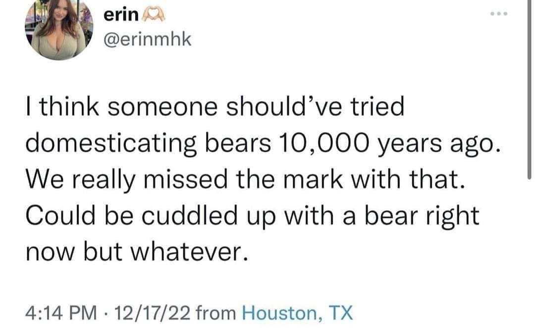 Bear memes I think someone should've tried domesticating bears 10,000 years ago. We really missed the mark with that. Could be cuddled up with a bear right now but whatever.