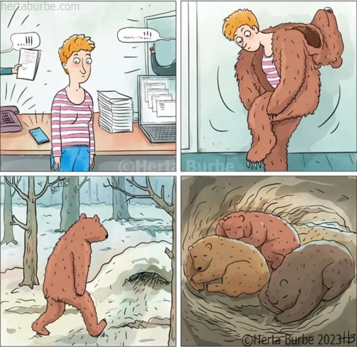 Bear memes 