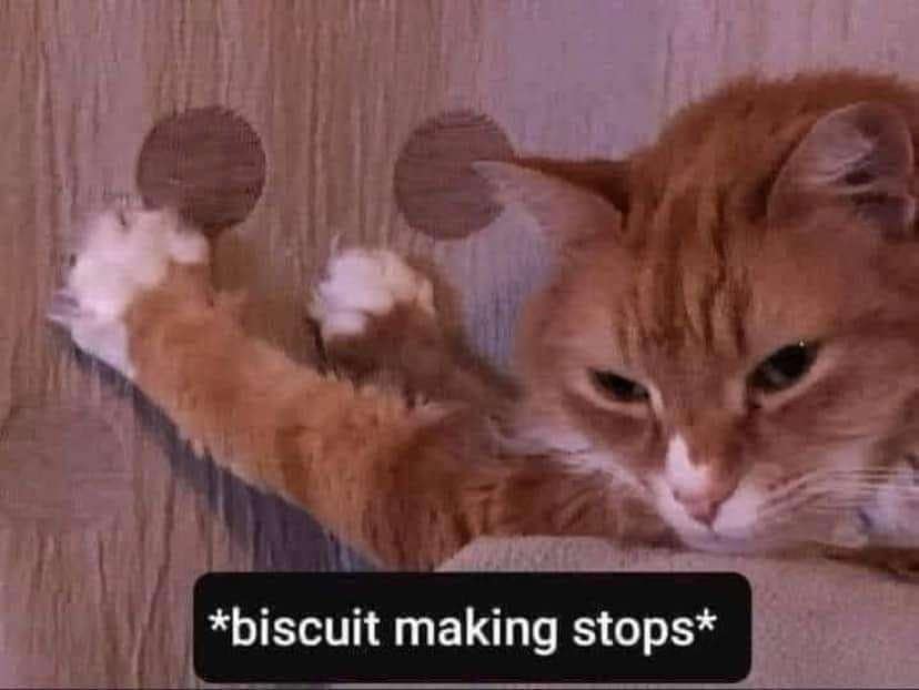classic memes, vintage memes