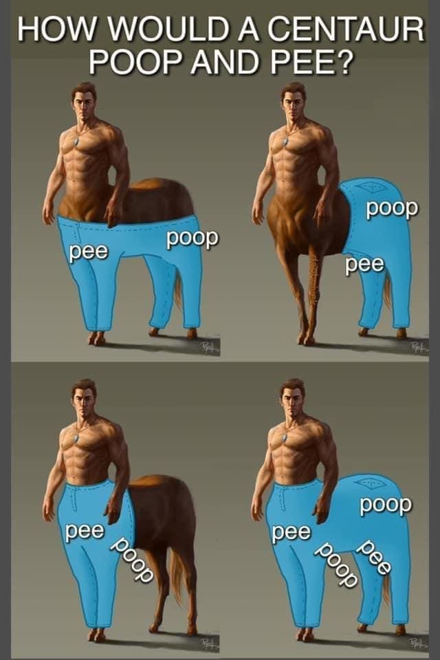 funny memes HOW WOULD A CENTAUR POOP AND PEE? poop pee poop pee pee poop pee poop poop pee