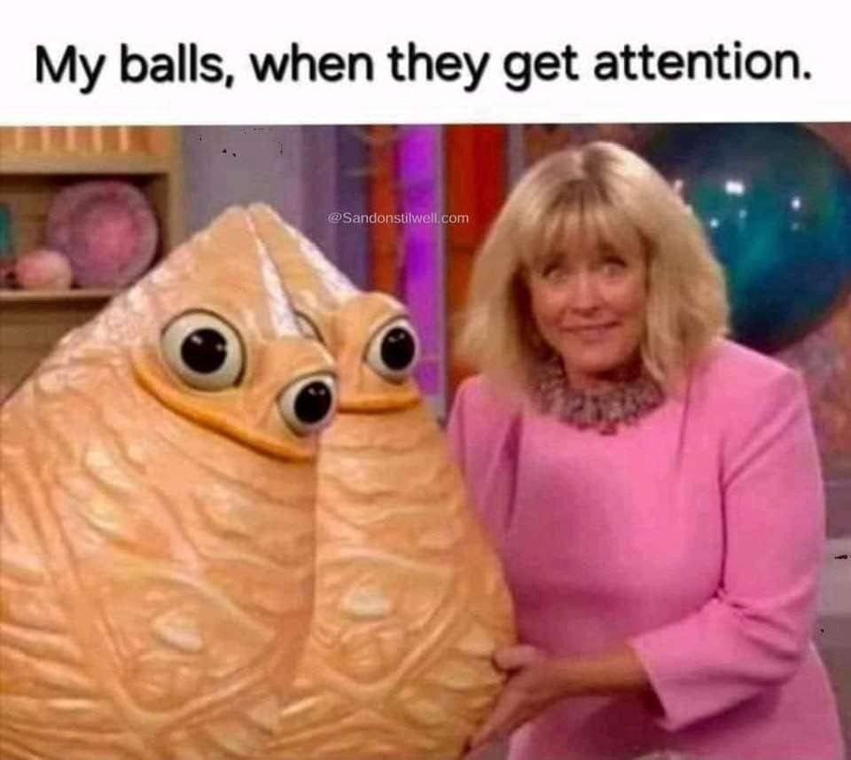funny memes
