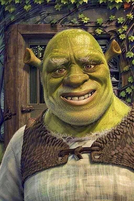 funny memes