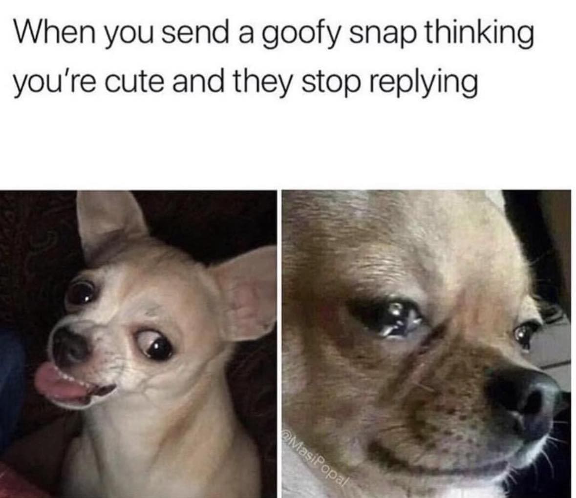 funny pics When you send a goofy snap thinking you're cute and they stop replying