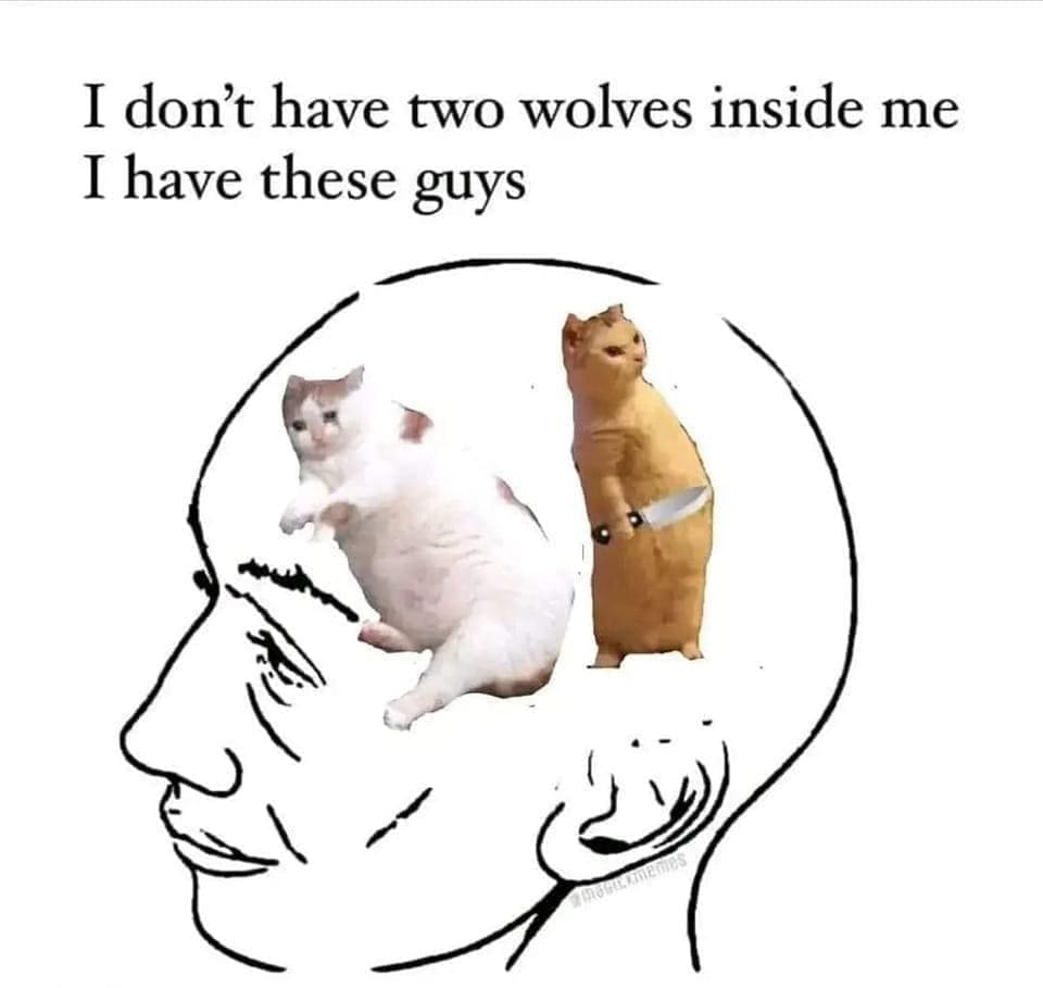 funny pics I don't have two wolves inside me I have these guys