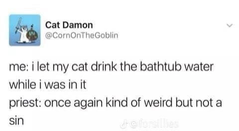 Funny tweets @CornOnTheGoblin me: i let my cat drink the bathtub water while i was in it priest: once again kind of weird but not a sin
