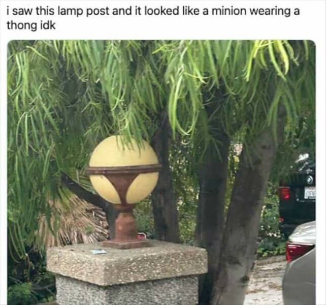 meme dump, hilarious memes
