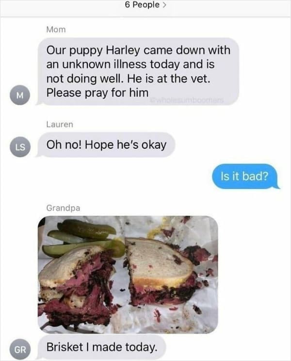 Our puppy Harley came down with an unknown illness today and is not doing well. He is at the vet. Please pray for him Brisket I made today.
