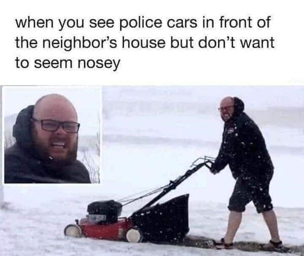 relatable memes, everyday humor
