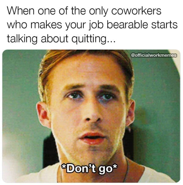 Relatable work memes When one of the only coworkers who makes your job bearable starts talking about quitting... @officialworkmemes "Don't go*