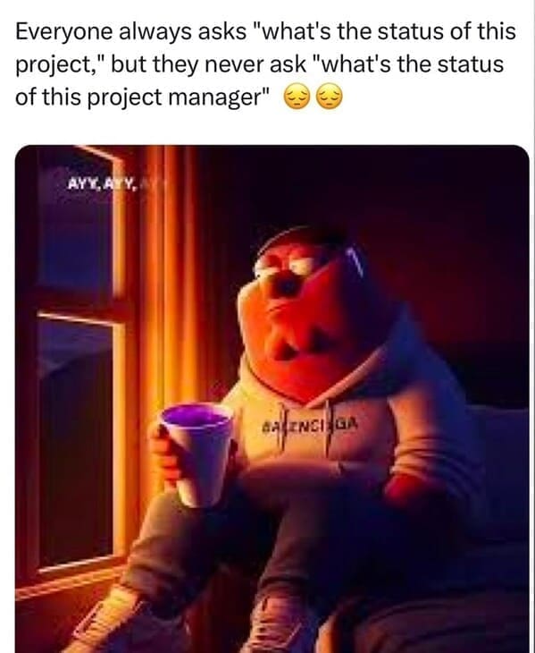 Relatable work memes Everyone always asks "what's the status of this project," but they never ask "what's the status of this project manager"