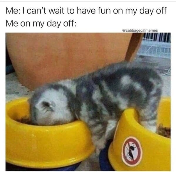 Relatable work memes Me: I can't wait to have fun on my day off Me on my day off: