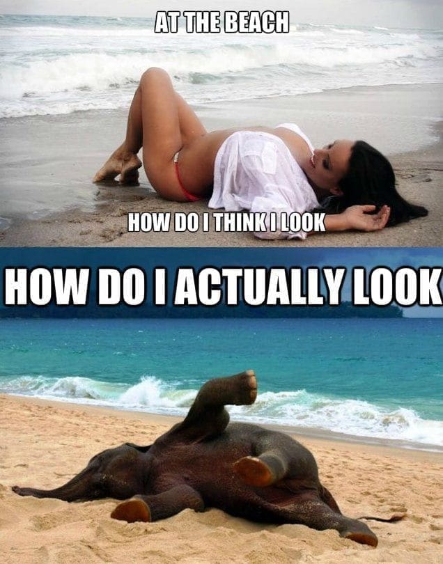 Beach Memes AT THE BEACH HOW DO I THINK I LOOK HOW DO I ACTUALLY LOOK