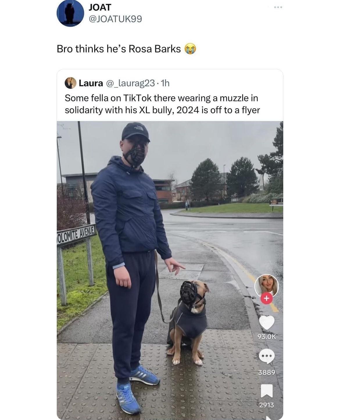 British Memes Bro thinks he's Rosa Barks