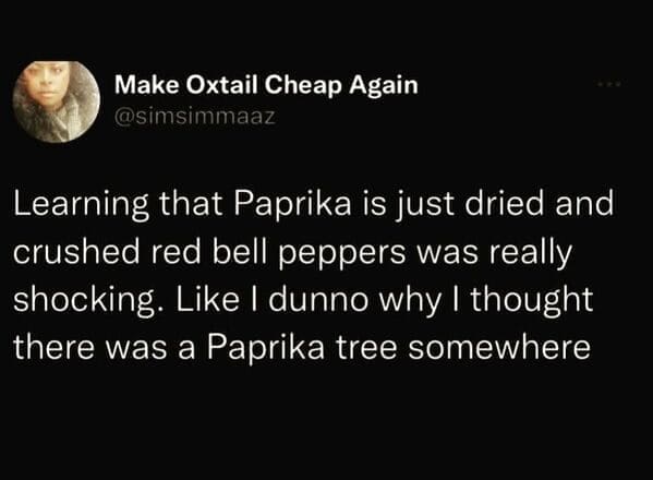 Dumb Memes Learning that Paprika is just dried and crushed red bell peppers was really shocking. Like I dunno why I thought there was a Paprika tree somewhere