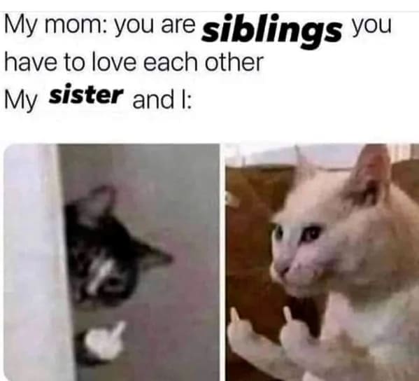Dumb Memes My mom: you are siblings you have to love each other My sister and l: