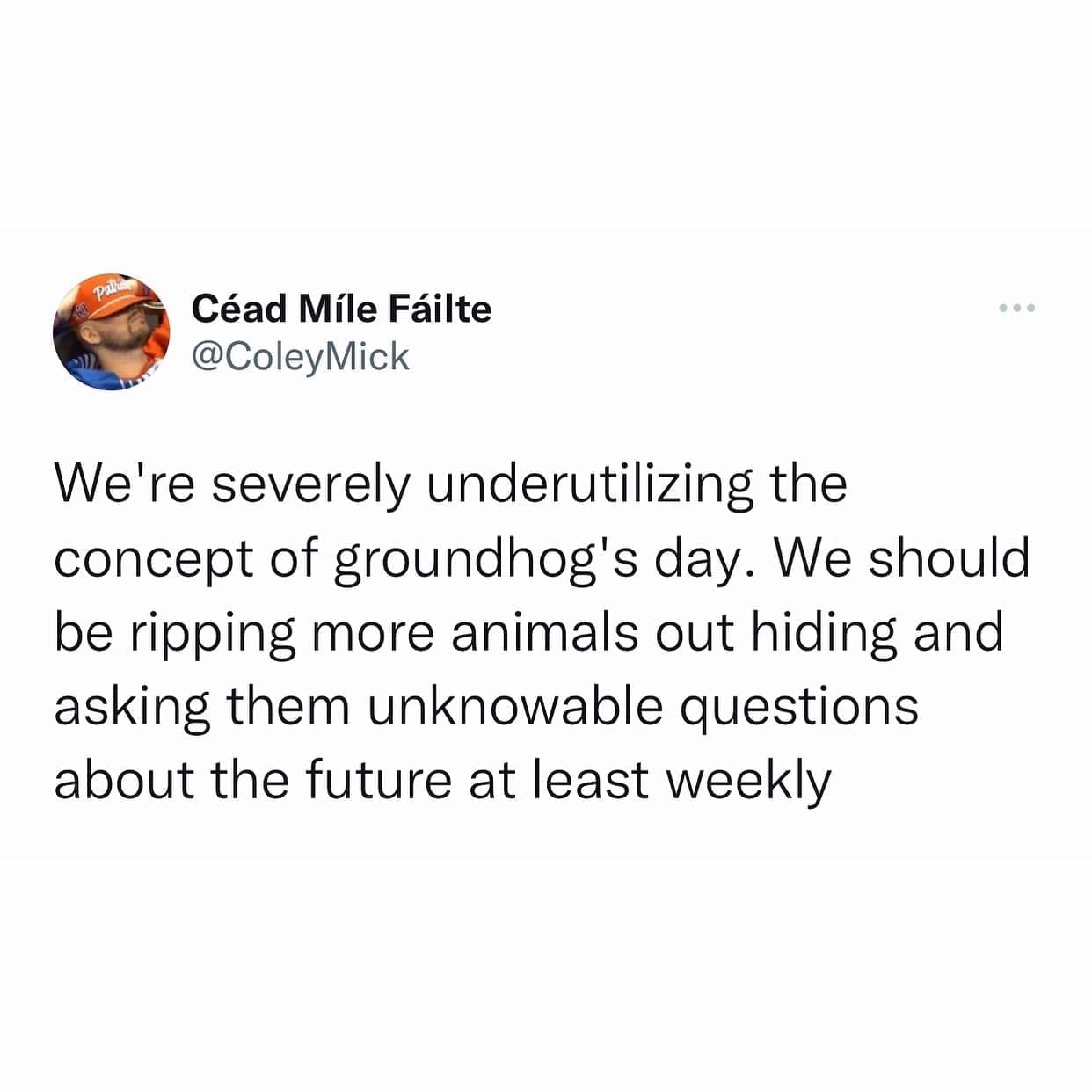 funny meme We're severely underutilizing the concept of groundhog's day. We should be ripping more animals out hiding and asking them unknowable questions about the future at least weekly