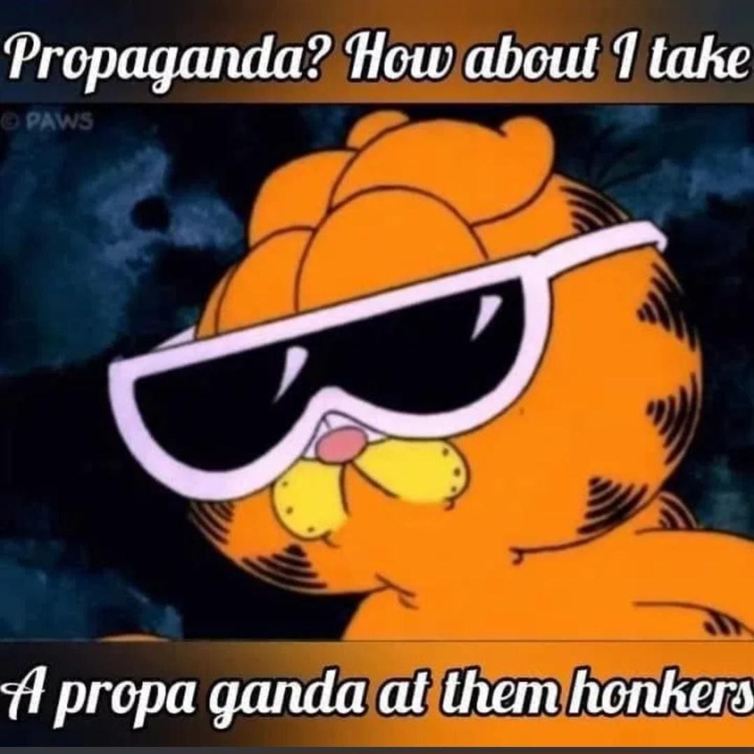 funny memes