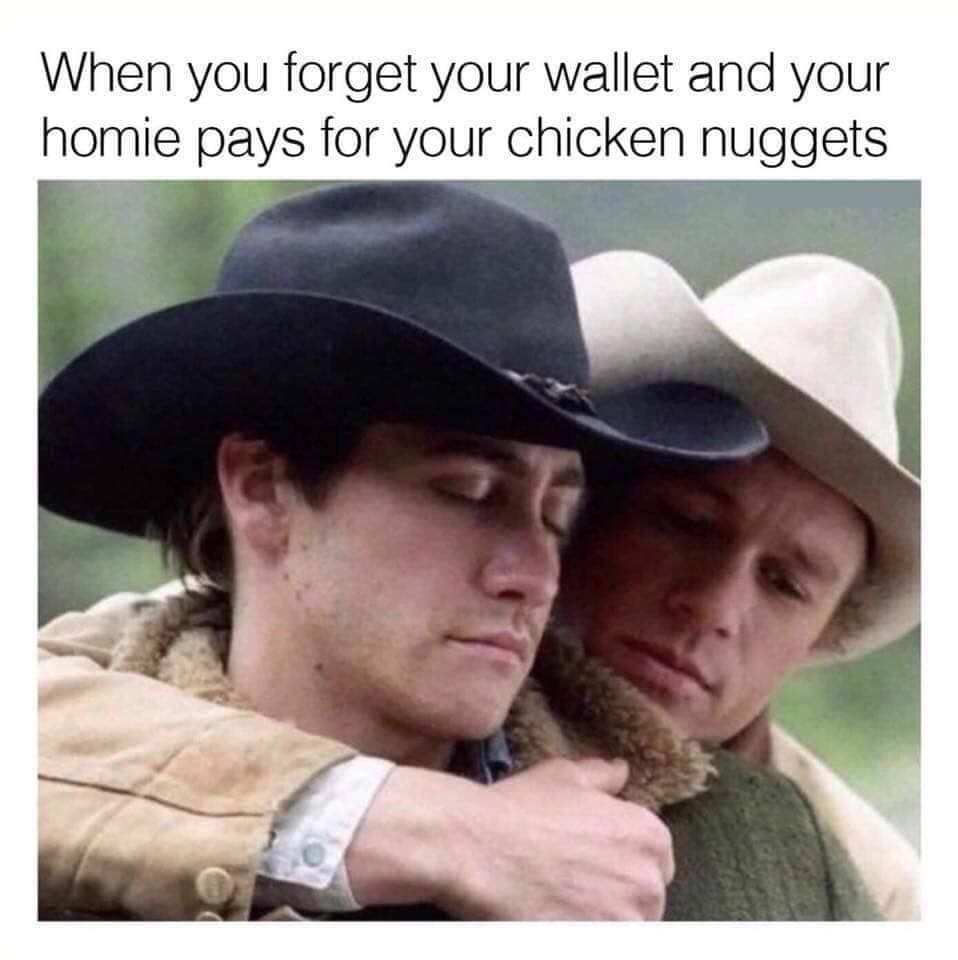 funny pics