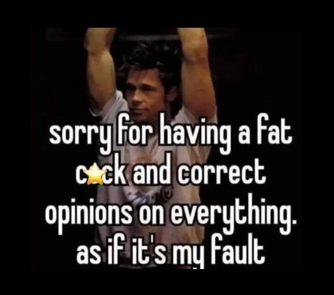 funny pics