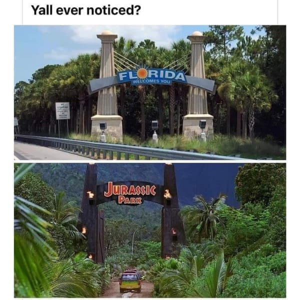 funny pics