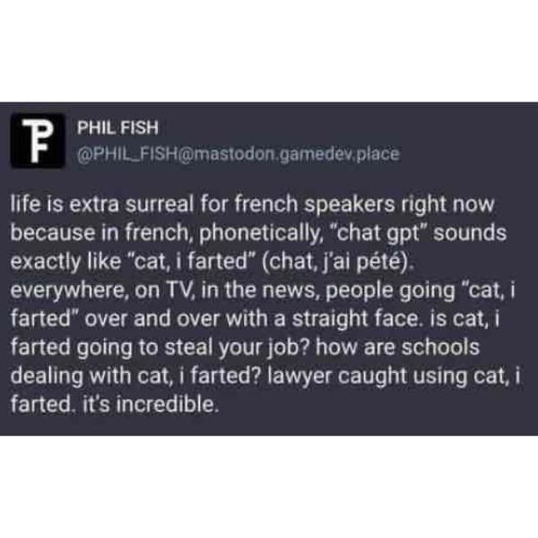 funny pics