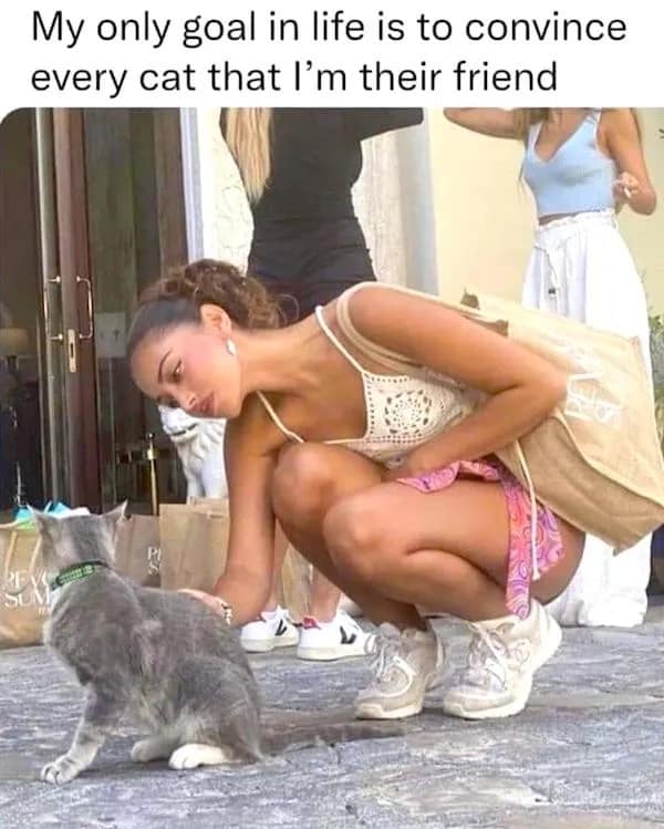 meme dump, hilarious memes, meme compilation, laughter dump, humor showcase, daily memes, meme collection, internet humor