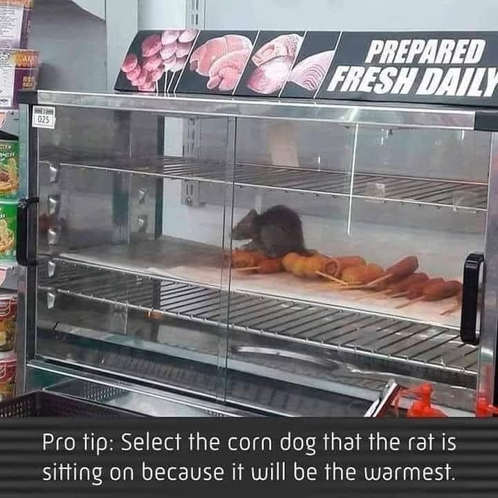 meme dump, hilarious memes
