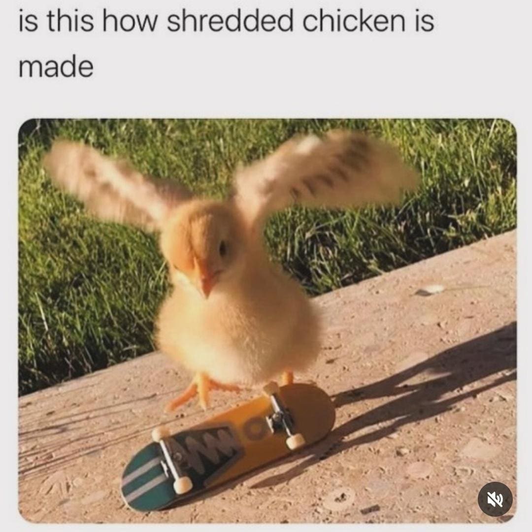 meme dump, hilarious memes, meme compilation, funny meme gallery, humor dump