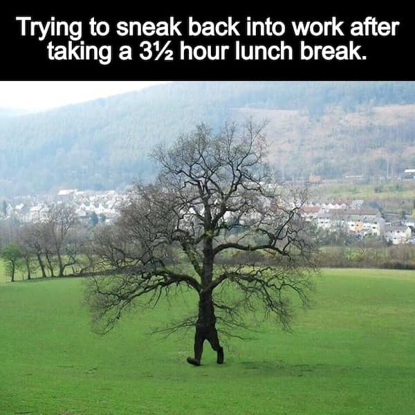 meme dump, hilarious memes, lazy Sunday memes, humorous memes, meme collection, laughter repository, chuckle compilation, meme extravaganza