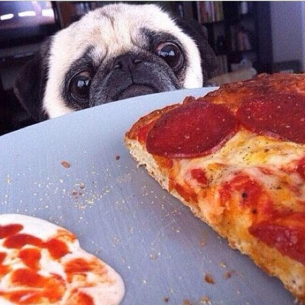 pizza memes, funny pizza jokes, pizza-related humor, slice memes, pizzeria jokes