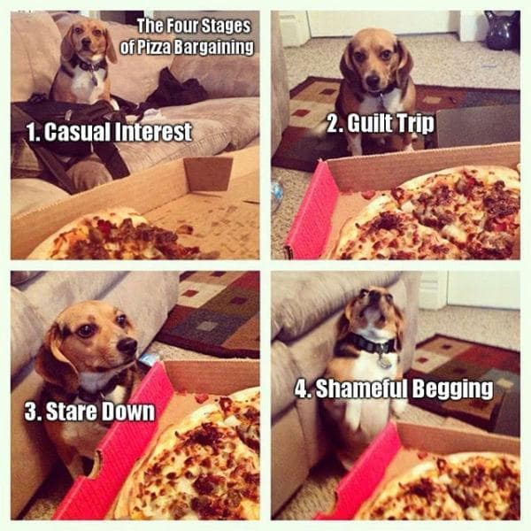 pizza memes, funny pizza jokes, pizza-related humor, slice memes, pizzeria jokes