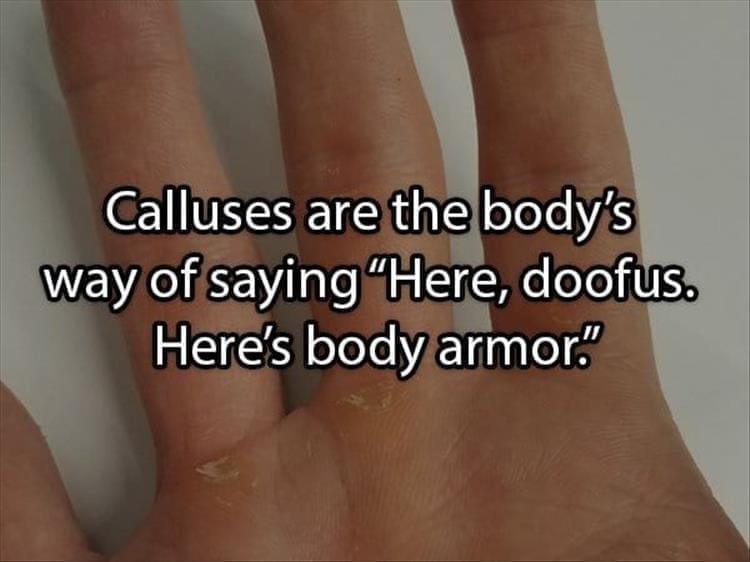 Reddit Shower Thoughts Calluses are the body's way of saying "Here, doofus. Here's body armor."