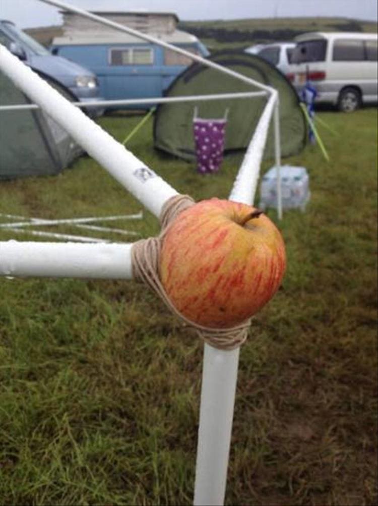 Redneck Engineering apple used for tent poles