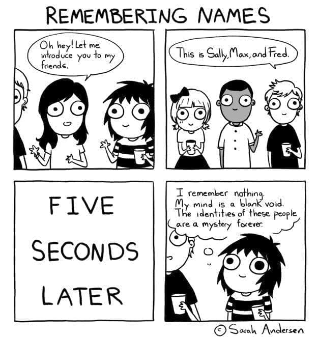 Sarah Scribbles comic REMEMBERING NAMES Oh hey! Let me introduce you to my friends. This is Sally, Max, and Fred FIVE SECONDS LATER 1 remember nothing The nientifes of these pople are a mystery forever.