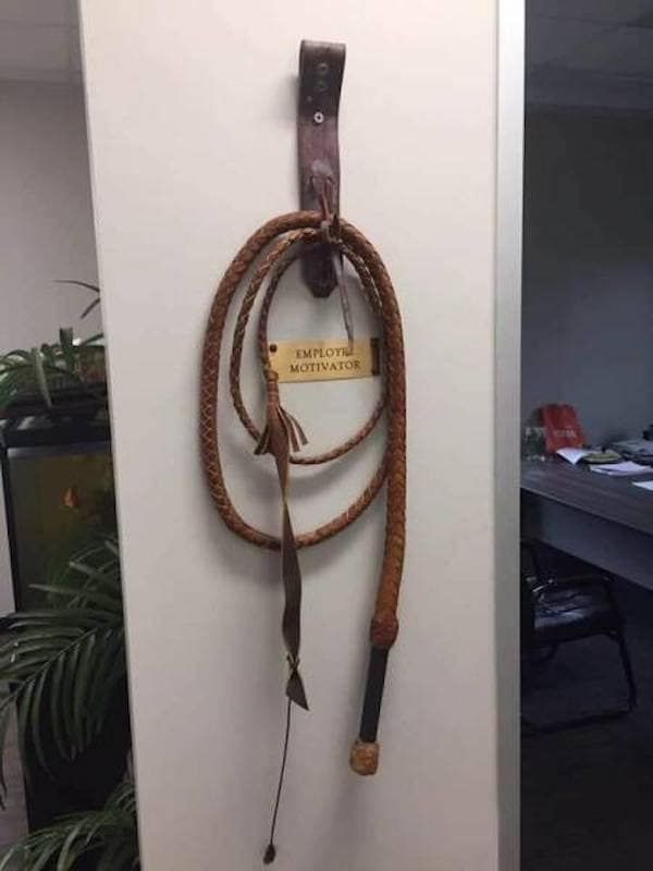 work memes, office humor