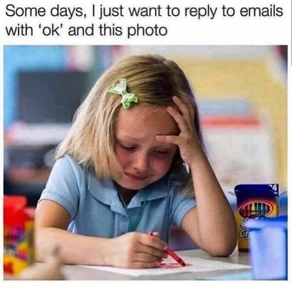 Workplace memes Some days, I just want to reply to emails with 'ok' and this photo