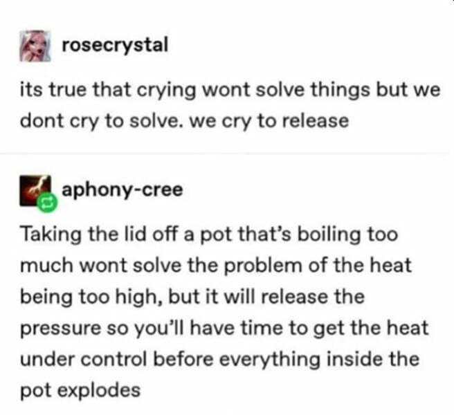 Brain memes Taking the lid off a pot that's boiling too much wont solve the problem of the heat being too high, but it will release the pressure so you'll have time to get the heat under control before everything inside the pot explodes